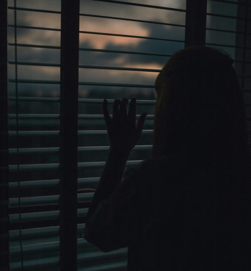 pexels-guiirossi-1995550